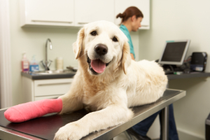 Injury